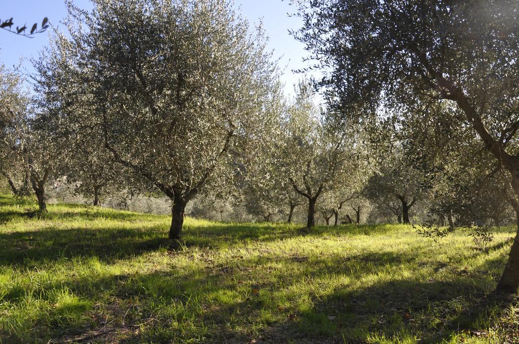 Podere Le Monache Montaione Eksteriør billede