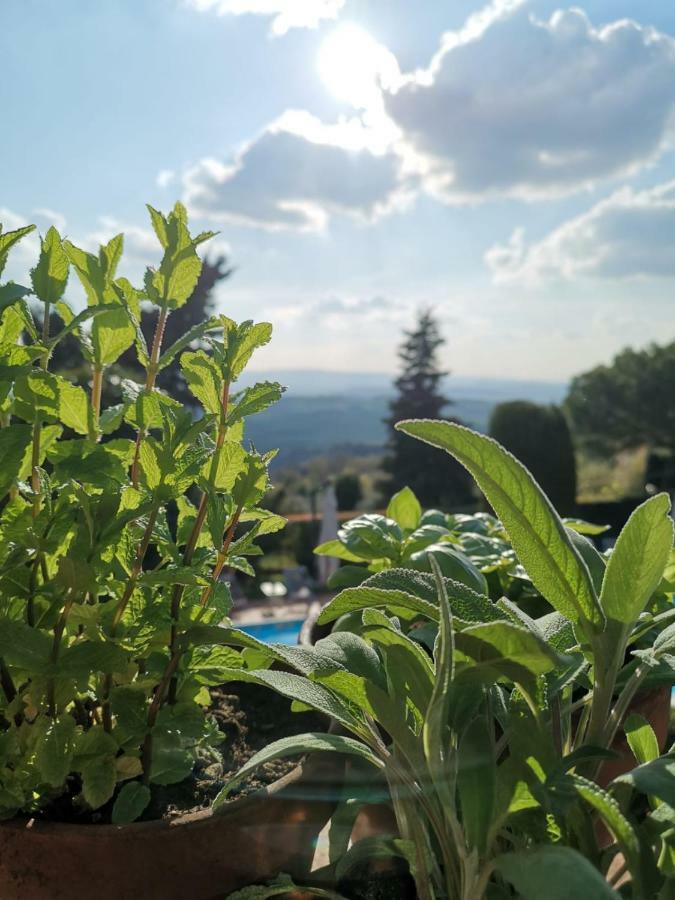 Podere Le Monache Montaione Eksteriør billede